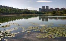 合肥市大蜀山森林公園南湖：綜合治理,，再現(xiàn)美麗湖景