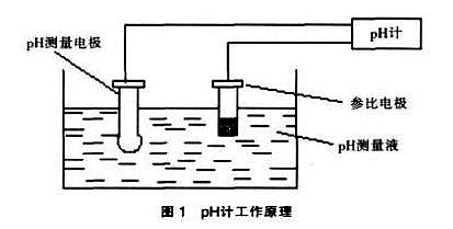 PH電極