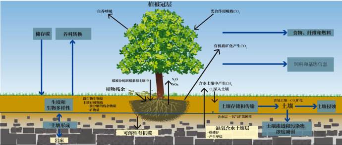 總有機(jī)碳TOC